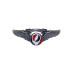Grateful Dead Steal Your Face Small Pilot Wing Pin Rockwings