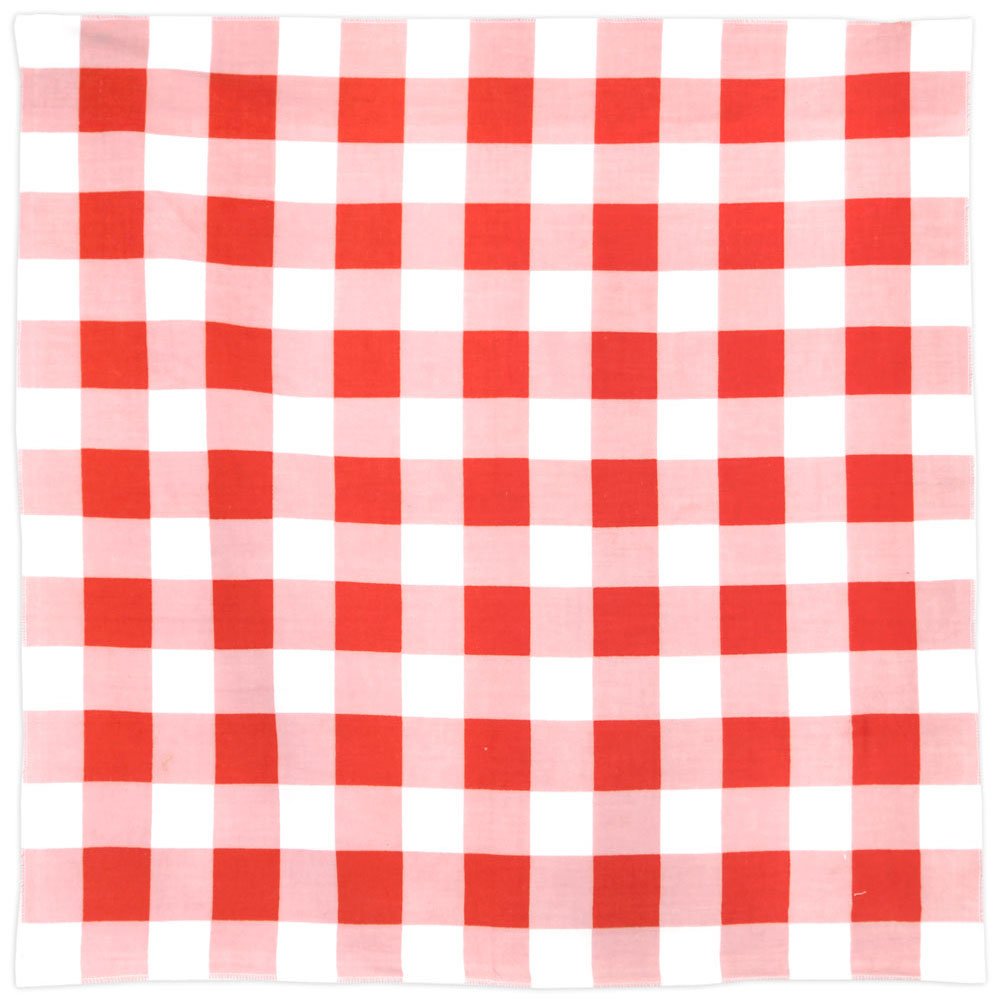 Gingham BANDANA Red 22x22